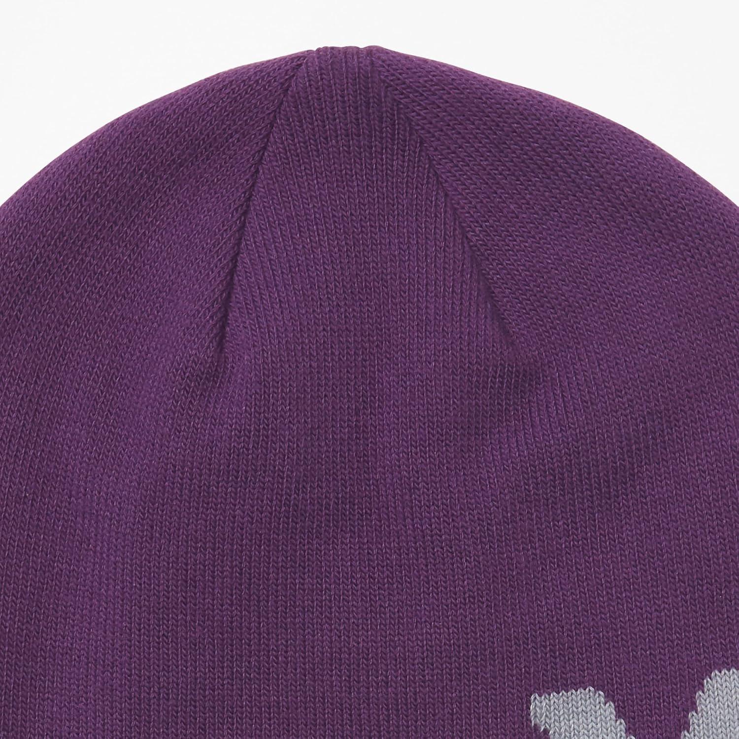 imageMarmot UnisexAdult Summit Hat Knit Skullcap BeaniePurple FigSleet